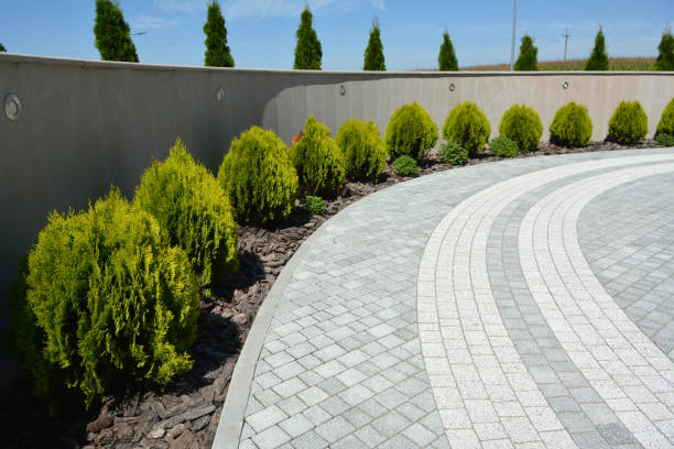 Best Cobblestone Driveway Pavers  in Chama, NM