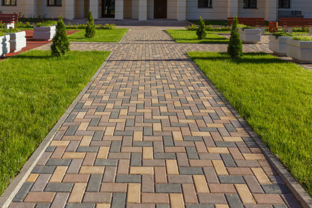 Best Residential Paver Driveway  in Chama, NM